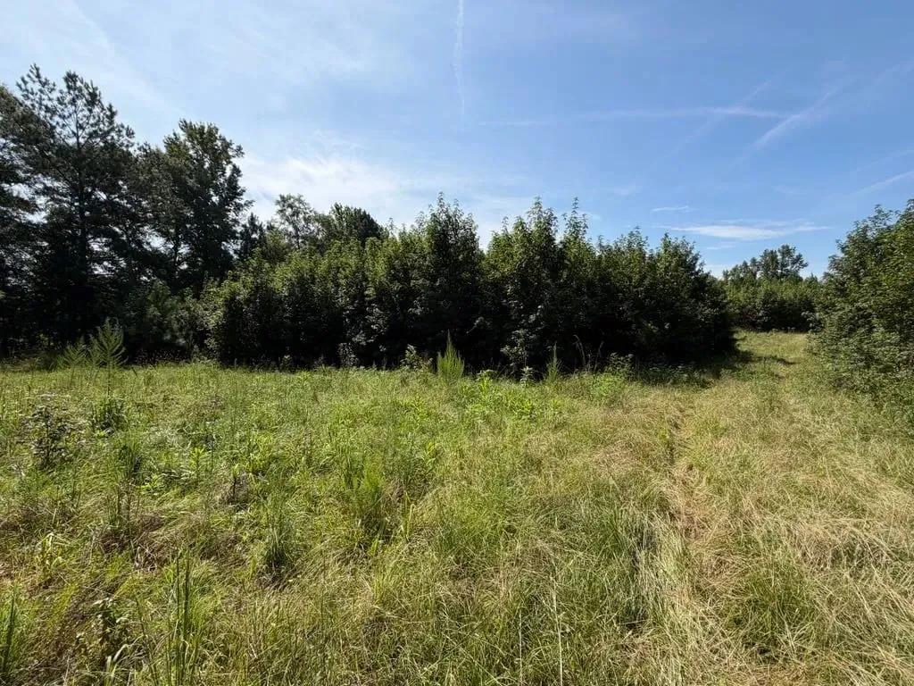60+/-AC Clay County