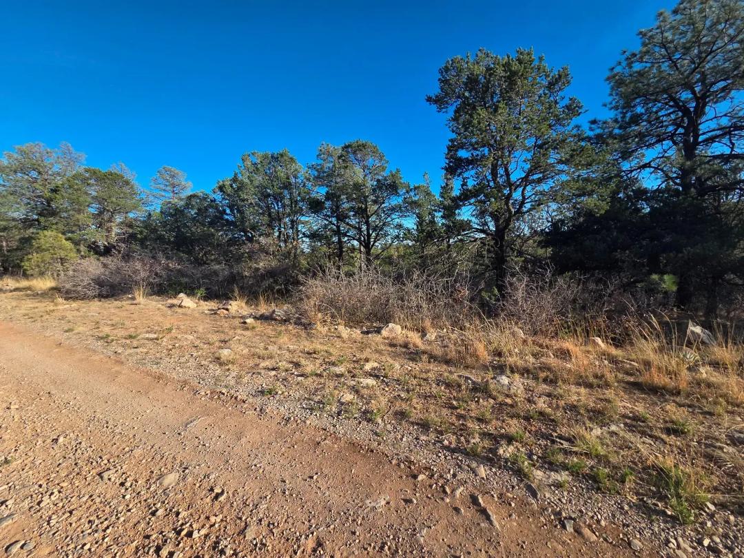 Timberon One Acre Lot - Borders Nearly 3,400 Acres of Open Space - Water