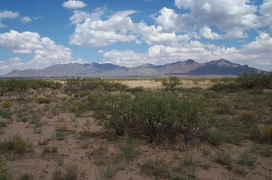 Incredibly low priced 1/2 acre Southern New Mexico with Mountain views