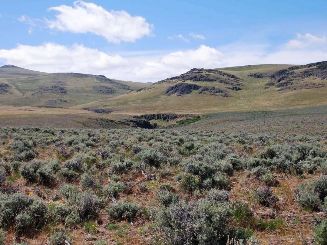 Scenic Oregon Outback byway 160 acres * Remote and secluded *
