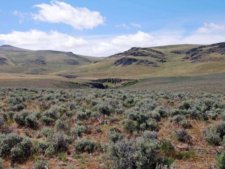 Scenic Oregon Outback byway 160 acres  * Remote and secluded *