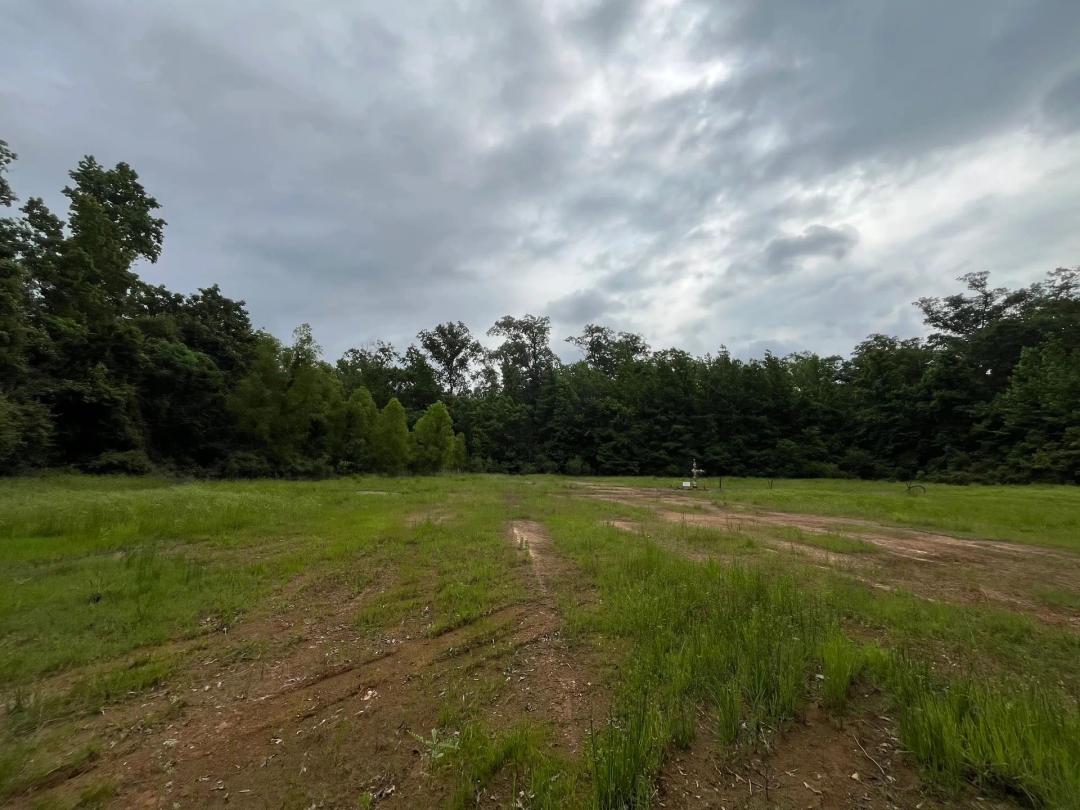 80 Acres in Claiborne Parish, LA
