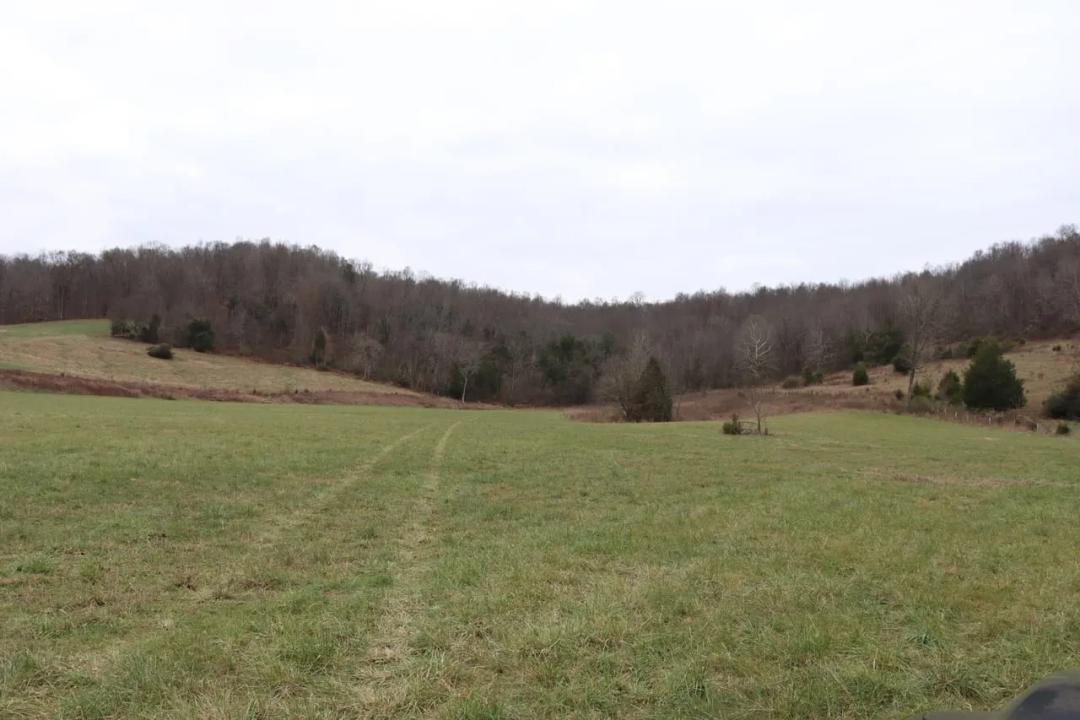 Kentucky Cattle Horse & hunting farm for Sale