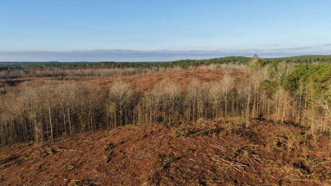 120.15 Acres in Pike County, AR