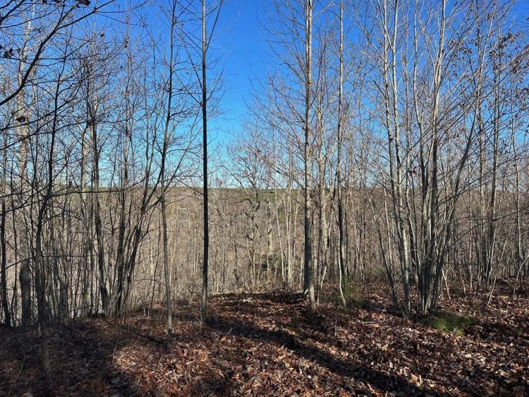 18.27+/-acres Wooded property with views Near South Pittsburg TN