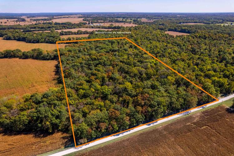 28.5± Acre Hunting & Homesite Tract for Sale – Lincoln County