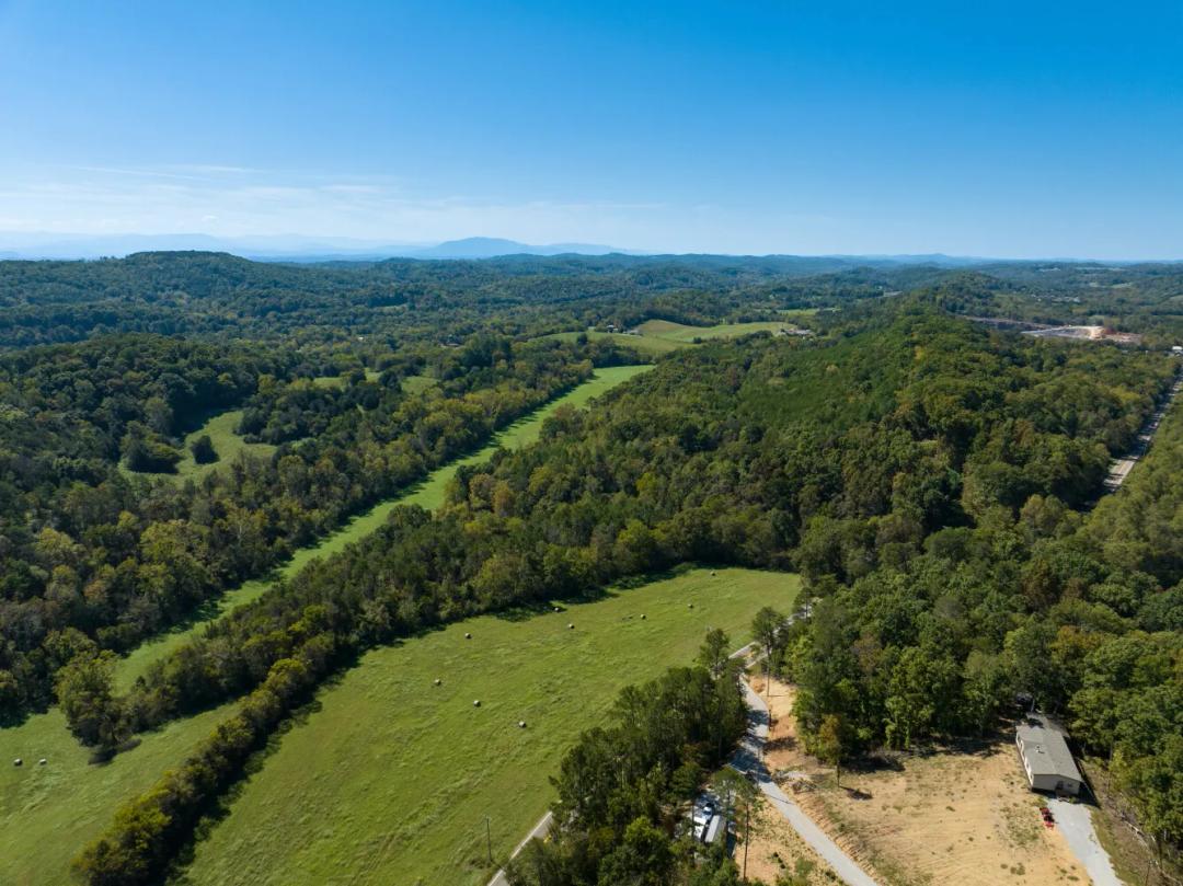 61.73 Acres at 0 French Mill Rd