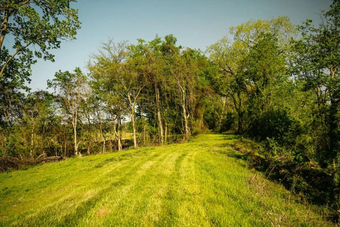 235.46 Acres in Dyer County, TN