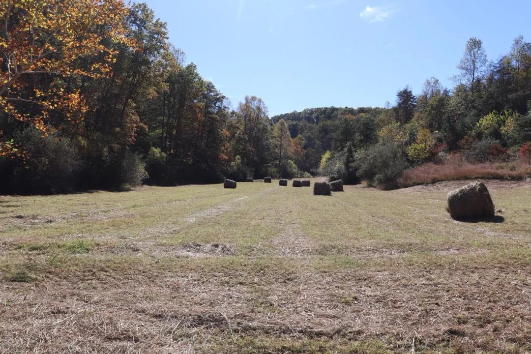 137+/- Acres near Ripley