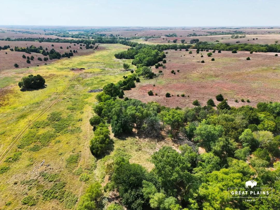 Custer County 320 Grazing and Tillable Acres