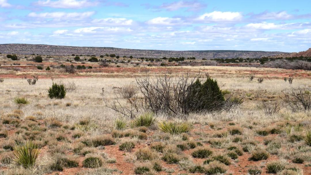 Scenic wide spaces 5 acres just east of Hwy between Las Vegas & Tucumcari NM