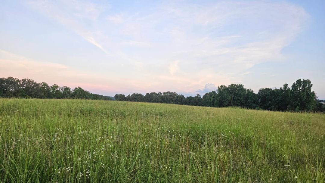 18.00 Acres at 012 Tomahawk Slab Road
