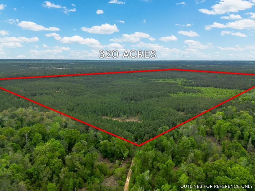 Ocmulgee Timber Tract