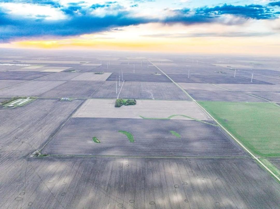 Listing #19361 - 239.90 acres in Palo Alto County, IA