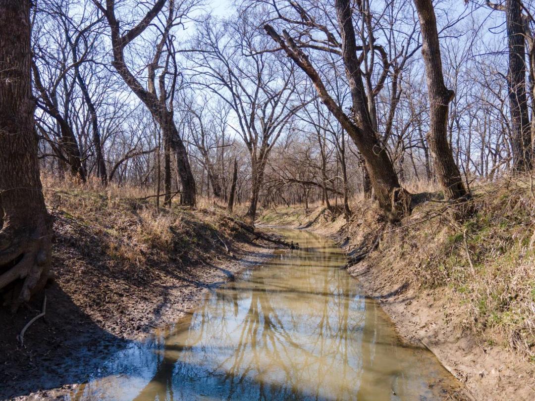Lake Creek 20