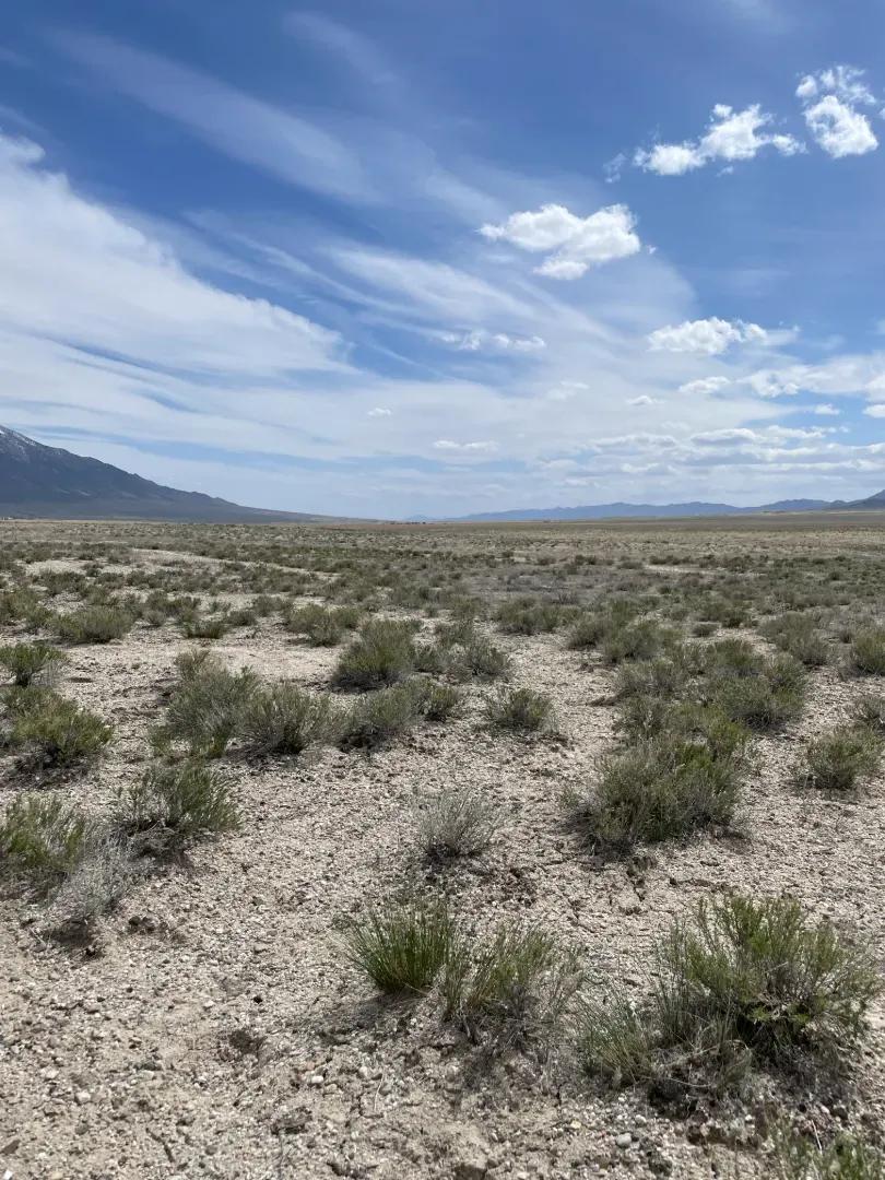 Hit the Brakes on the Open Road: 10 Acres of Freedom Await in Montello, NV!