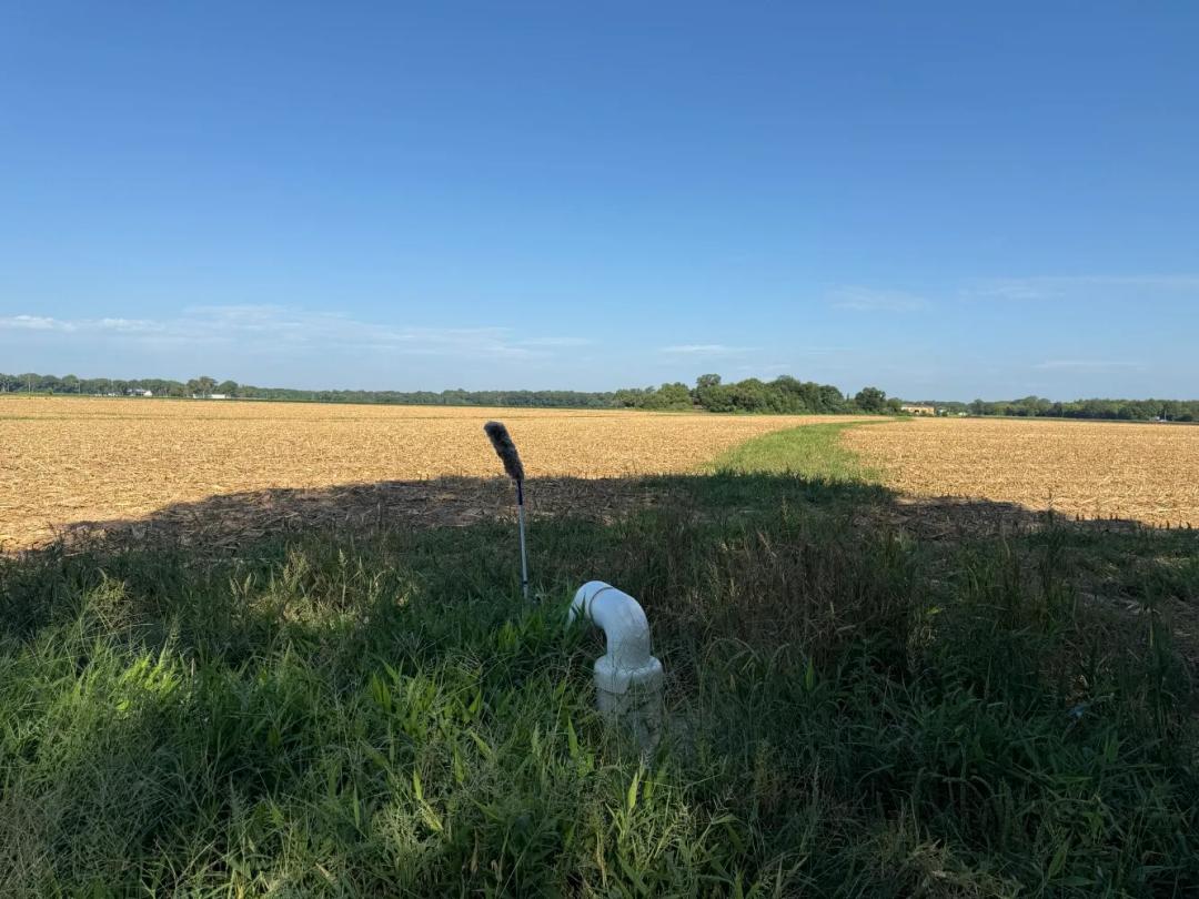 40.00 Acres at 0 Mayhall Rd