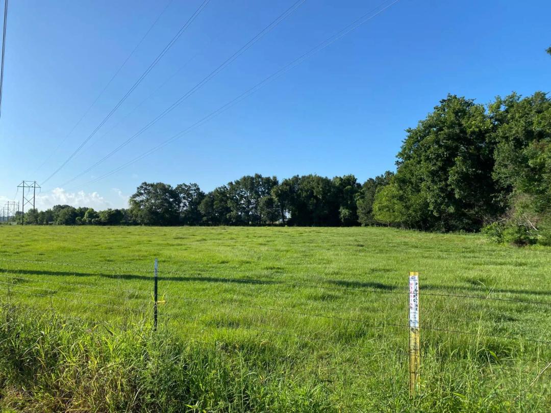 Country Living | 2.68± Acre Homesite - Vermilion Parish, LA
