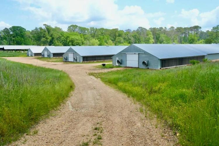 Mississippi Poutry Farm for Sale 45± Acres and Residence
