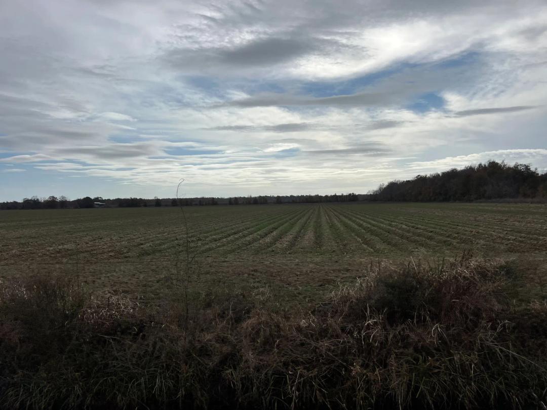 LA - Richland 34 acres +/-