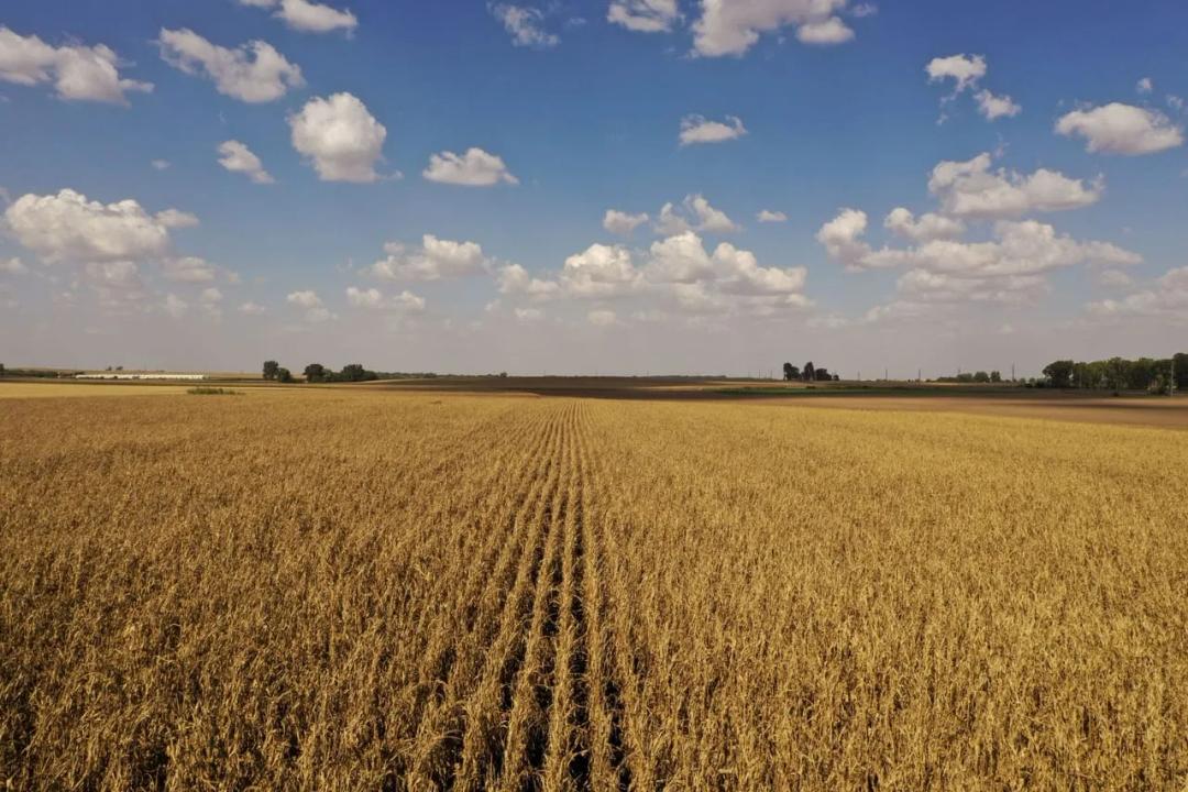 Listing #19046 - 38.23 acres in Carroll County, IA