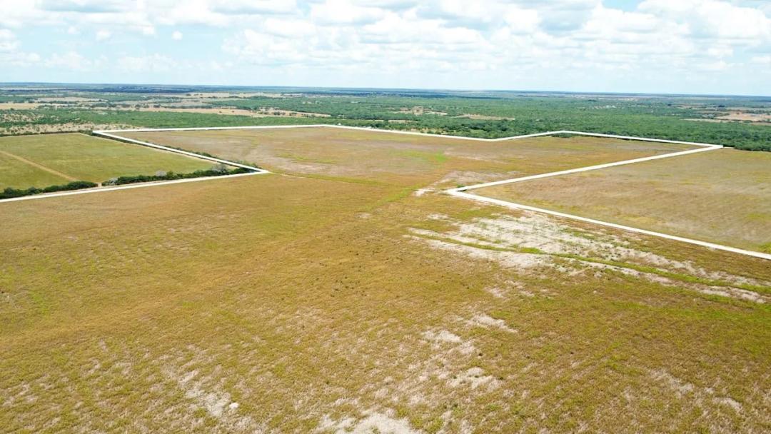 355 CR 321, George West - Live Oak County Farm, 363.91 Acres