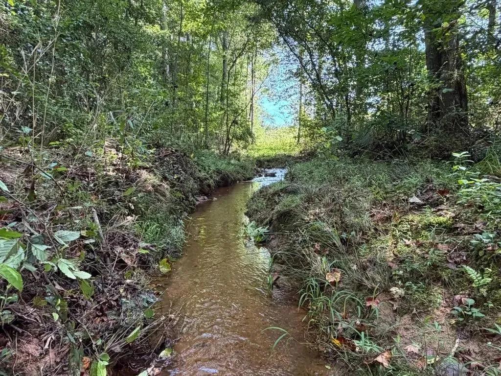 124+/-ac Hunting Tract, with flowing water, in Clay County