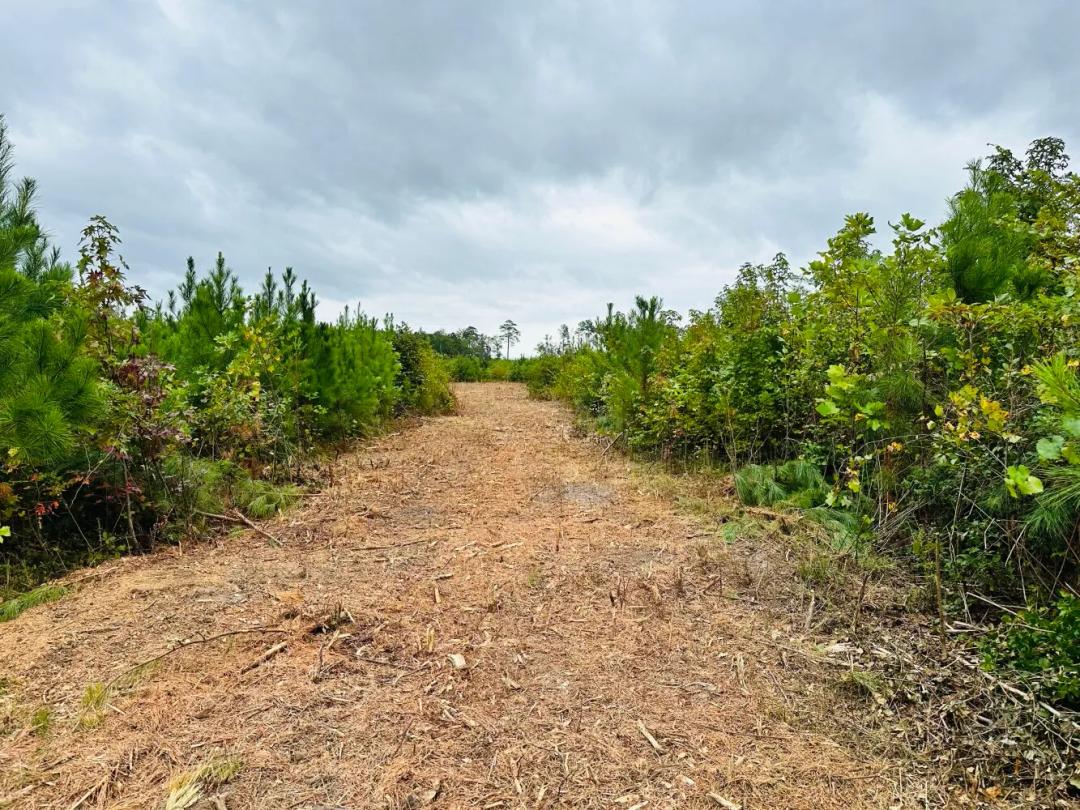 85.50 Acres at 0 Cappahosic Road & 0 York Haven Lane