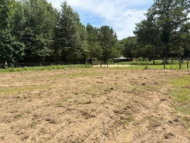Scenic 1-Acre Lot with Water Access in Dozier, AL