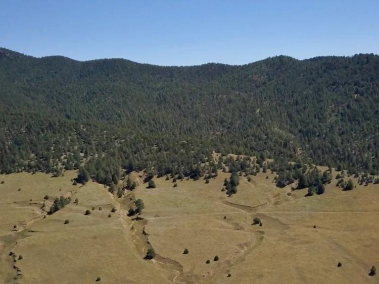 Romero Hills Ranch