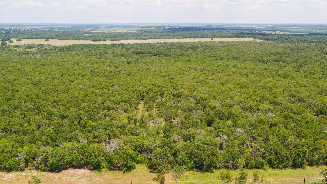 10 Acres in Milam County - Tract 12