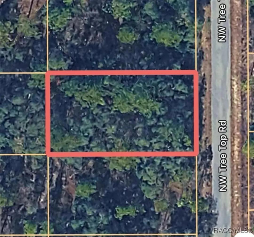0000 NW Tree Top Unit #007 Road