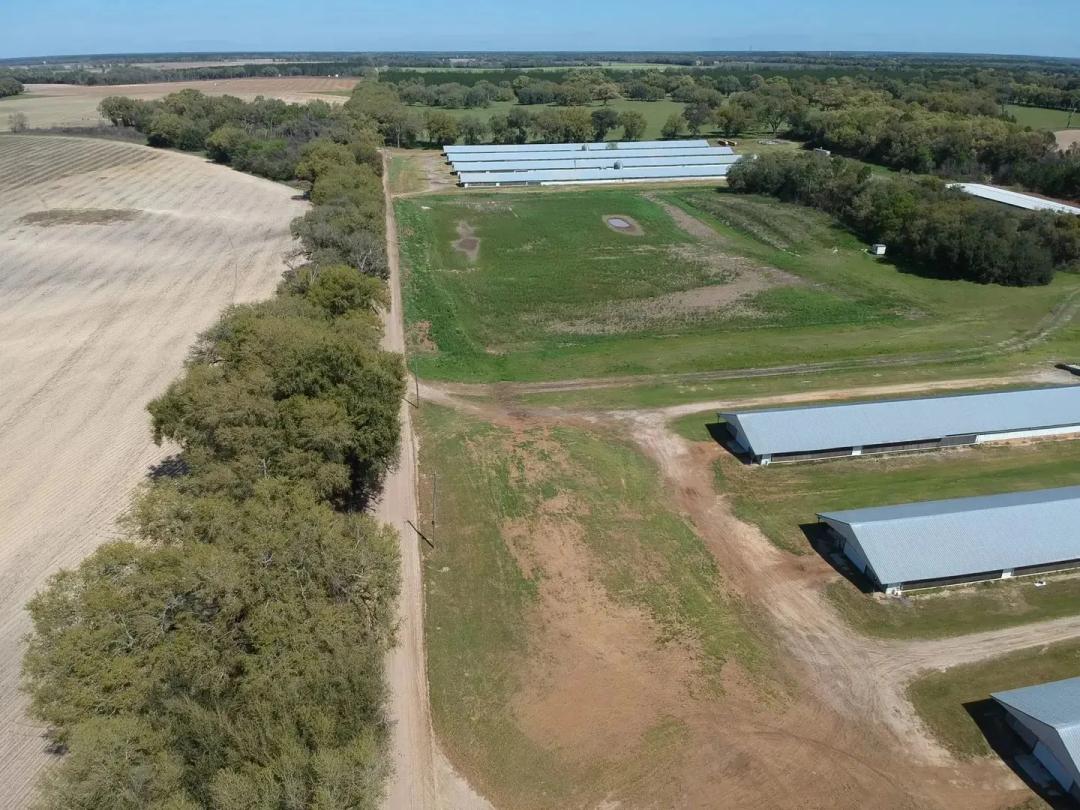 Hopeful Broiler Farm – Seven House Farm in Mitchell County, Georgia