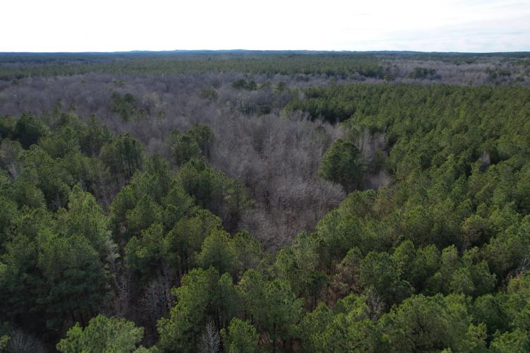 90+/- Acres in Choctaw County, MS