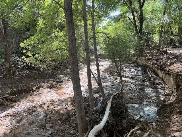 339+/- Head- Empirita Ranch- Benson AZ