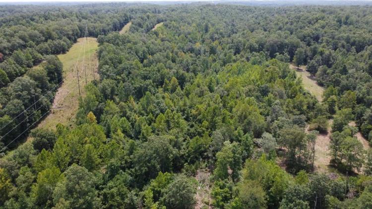 260 +/- ac Tract For Sale in Butler County, Missouri