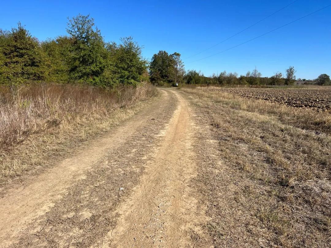 LA - Richland 43 acres +/-