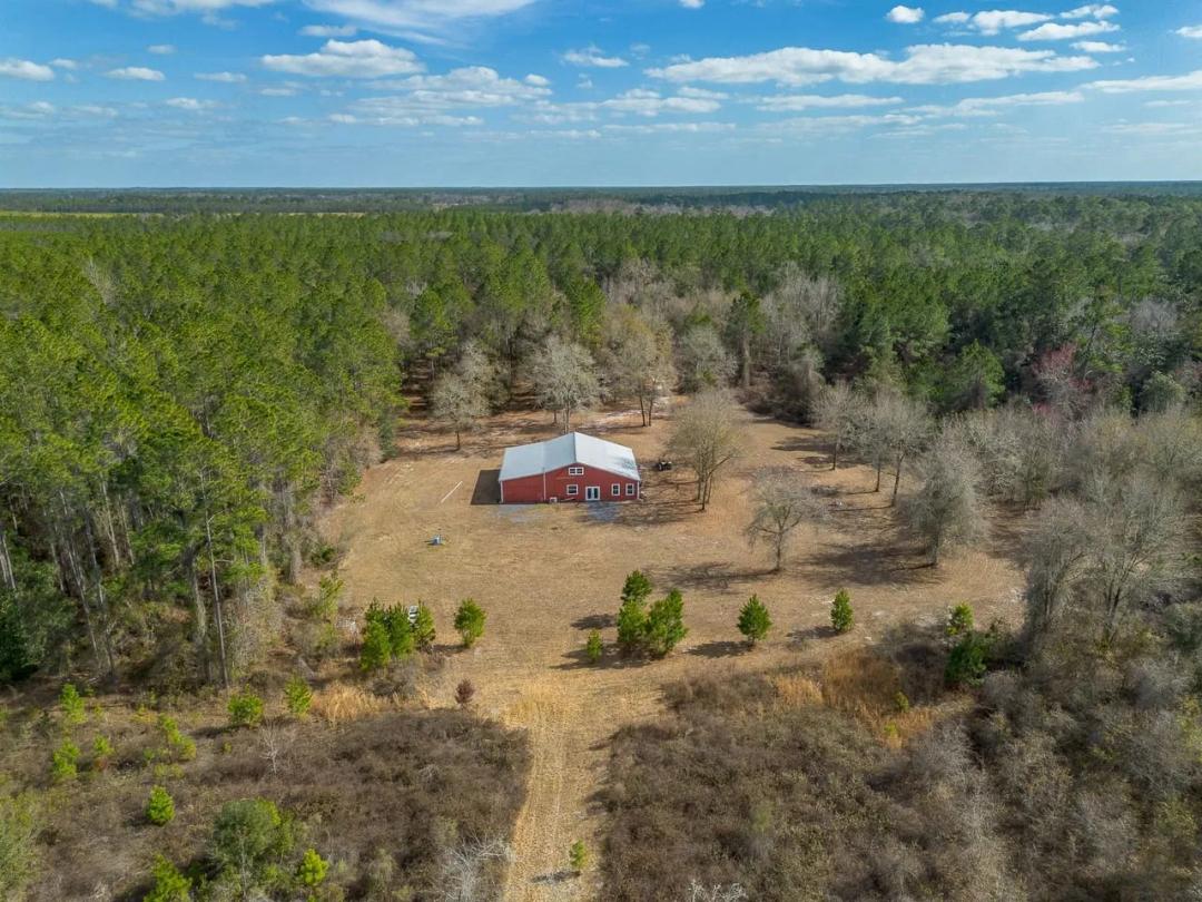 38 Acres Live Oak Retreat on Little Saint Marys River