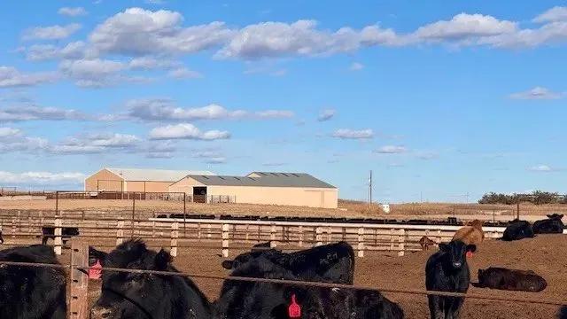 640-Acre Feed Lot in Parks, Nebraska for Sale - Baney Feeders, LLC