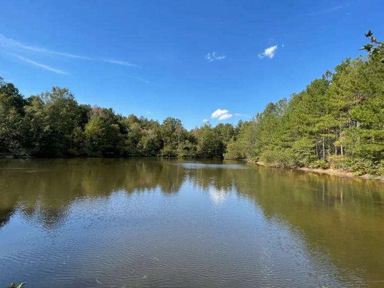 +/- 30.937 Acres - Wooded Acreage with Pond - 519 Deadfall Road W. Greenwood, SC 29649