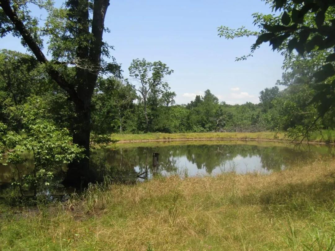 Your 40-Acre Country Getaway — Hunt, Fish, or Build