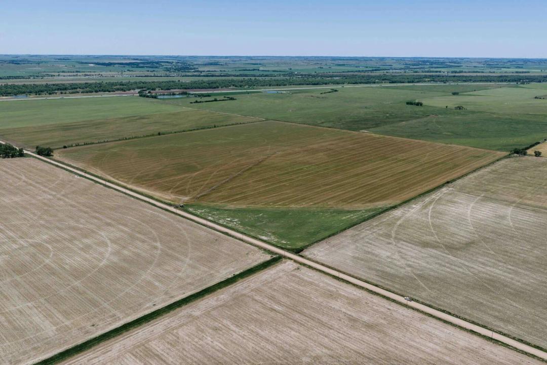 Dawson County 159