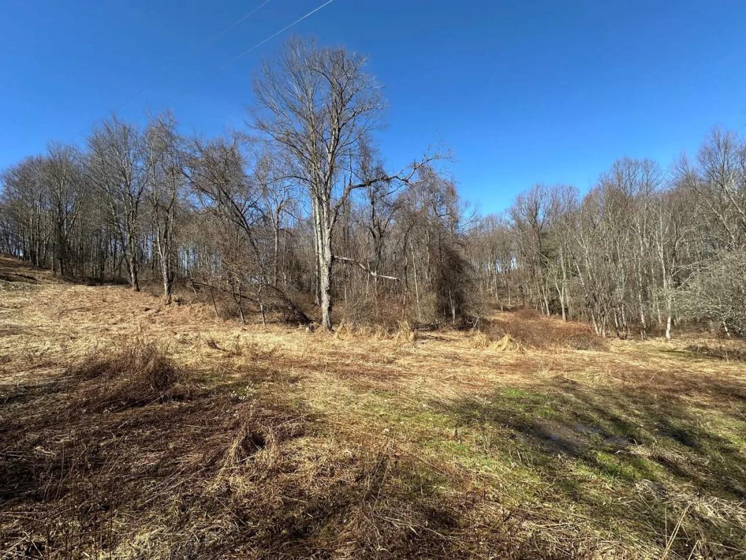 000 Mumau Rd - Glen Campbell - Indiana - 11.63 +-