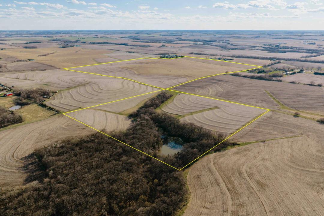 Cass County 197