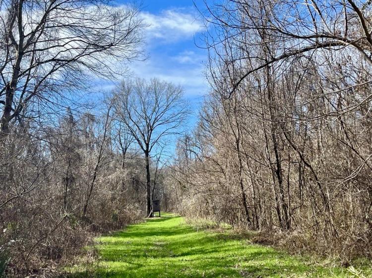 171+/- Acres of Farm and Timber  land in Madison Parish