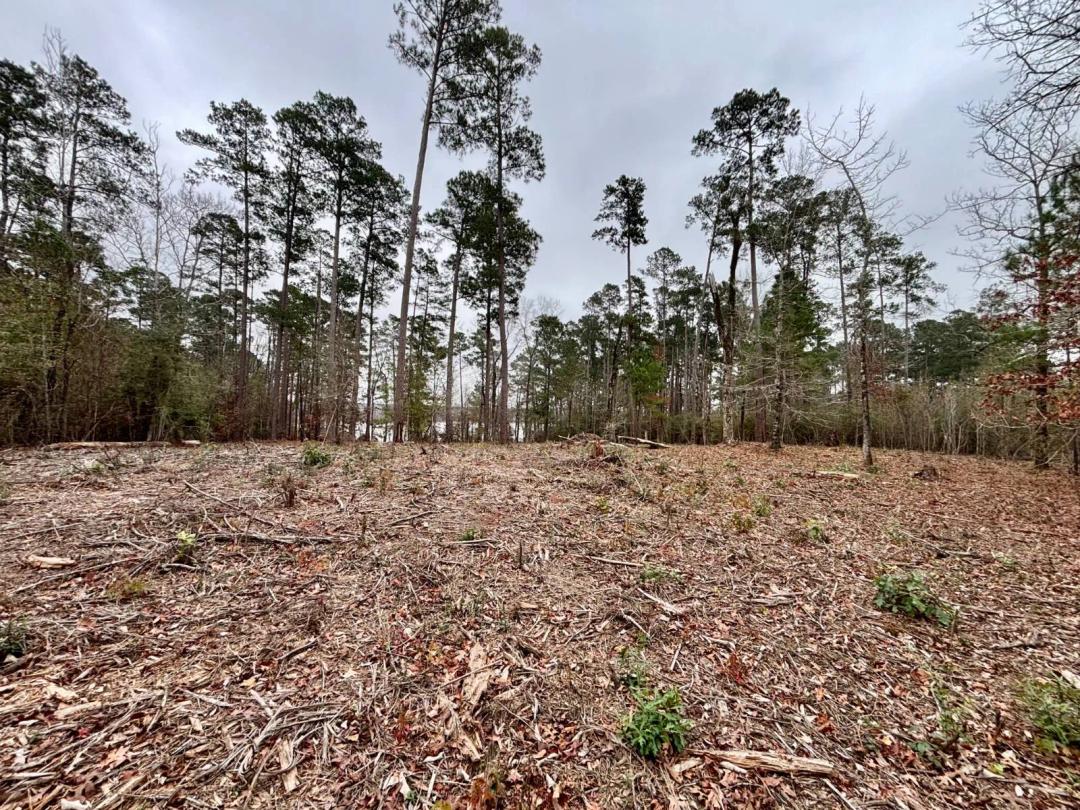 1.00 Acres at 0 Lazy Point Trail