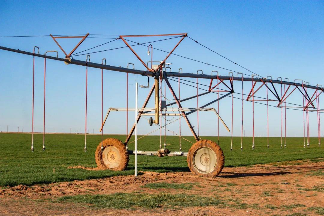 Te Velde Irrigated Farm