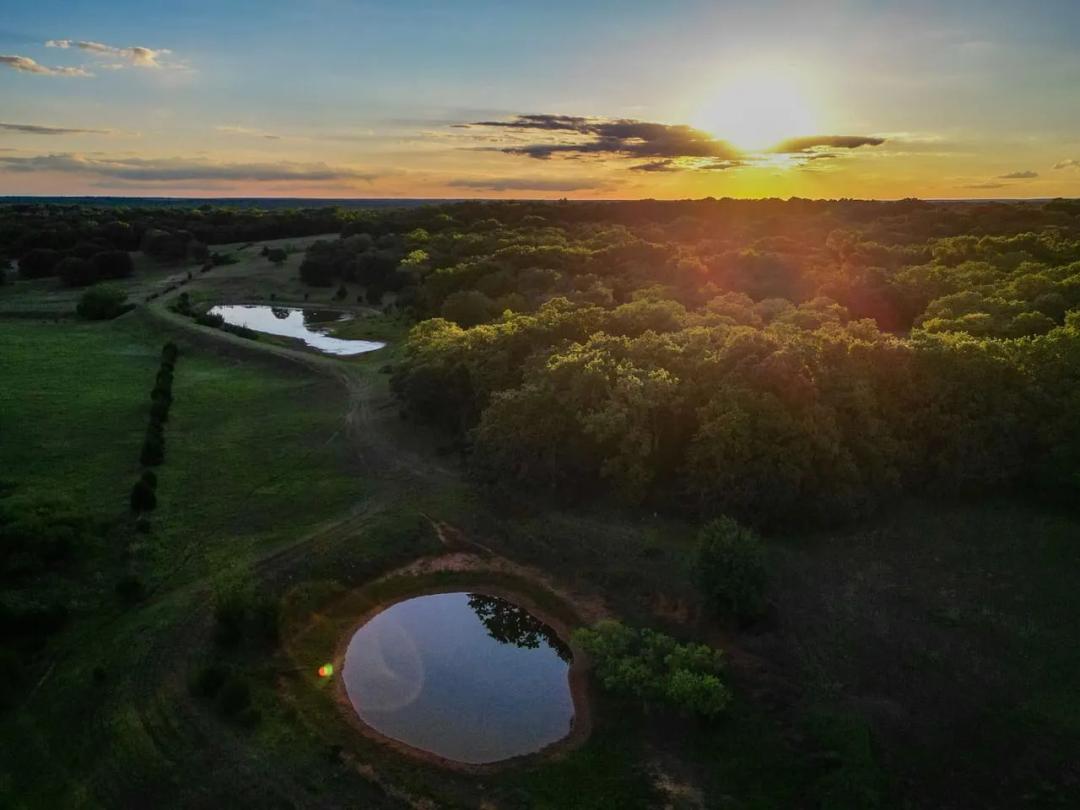 Prime 67 Acres of Hunting and Fishing