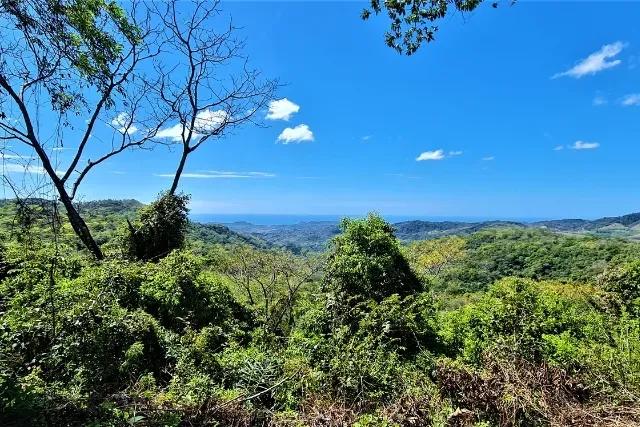 Samara Hill Estates - 77 Acre Ocean View Finca
