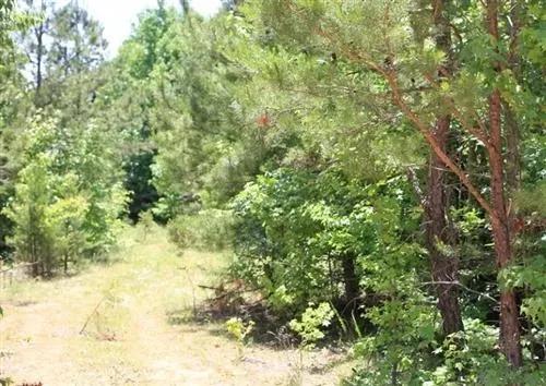 Tennessee,Decatur County, 6 Acre Hickory Hill